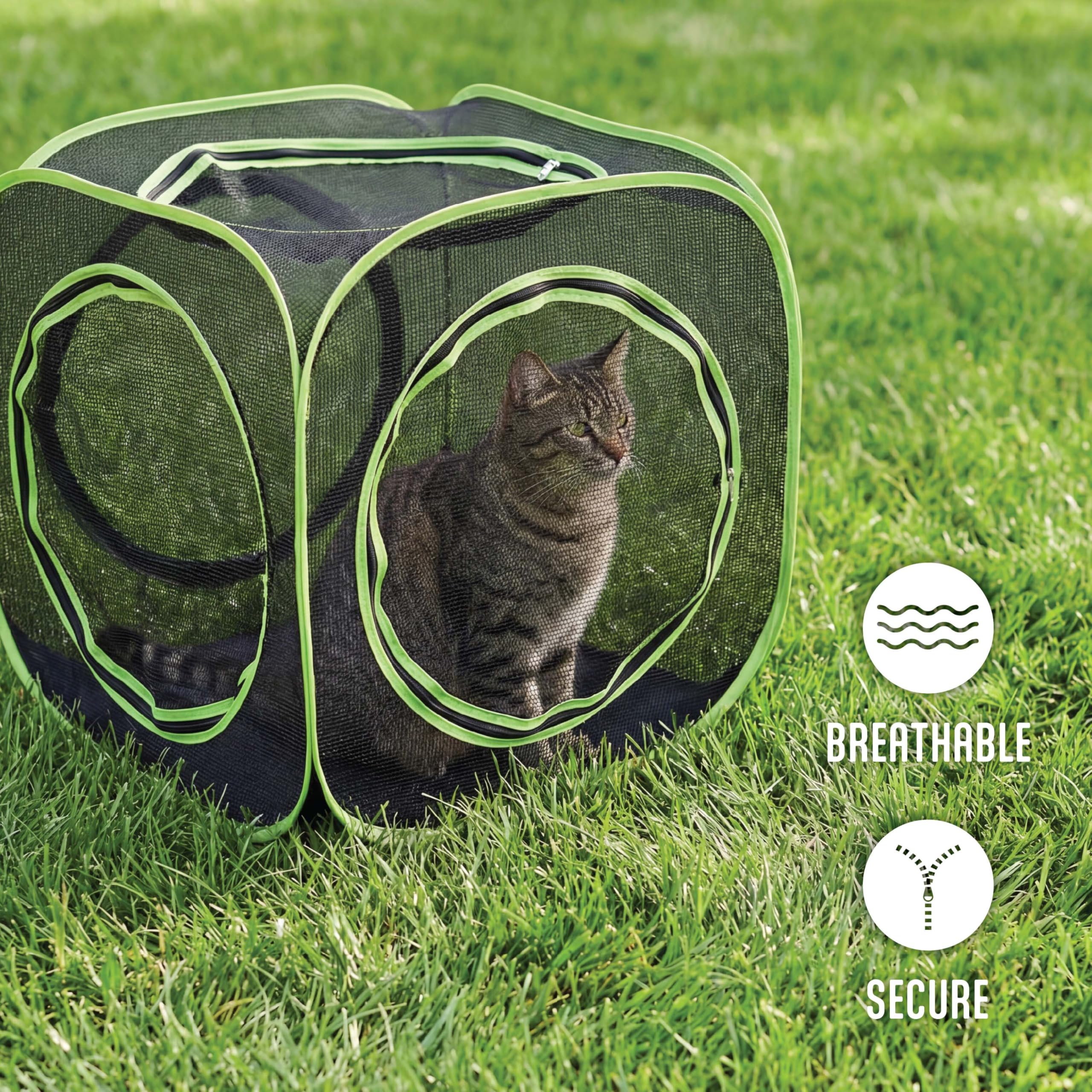 Kitty City cube replié pliable prêt à transporter ou ranger