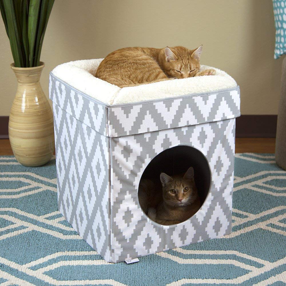 Kitty City cube en situation près d’une fenêtre, encourage observation et détente