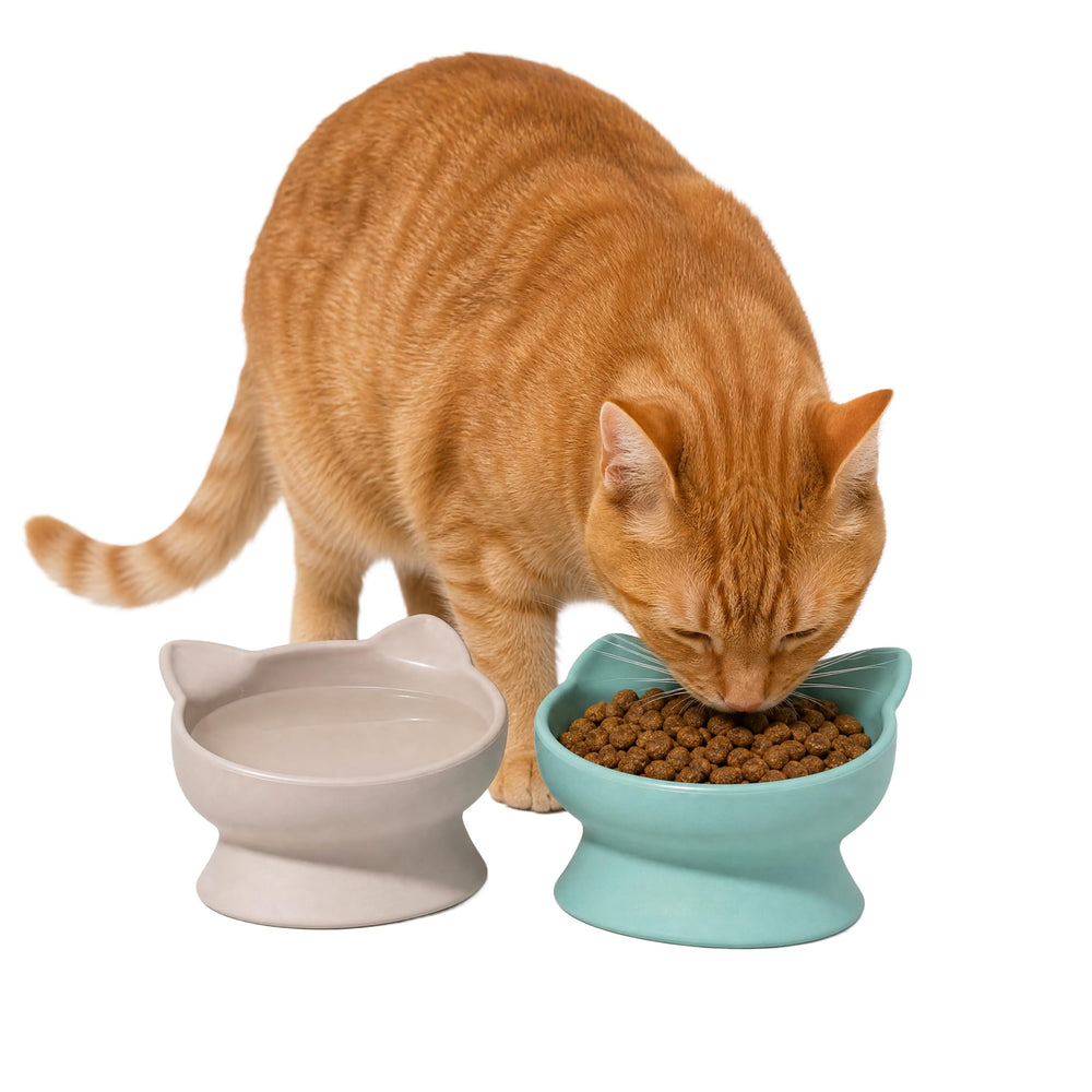 Kitty City détail du plastique PET montrant surface facile à nettoyer