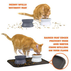 Kitty City gamelle en usage par chat illustrant posture améliorée