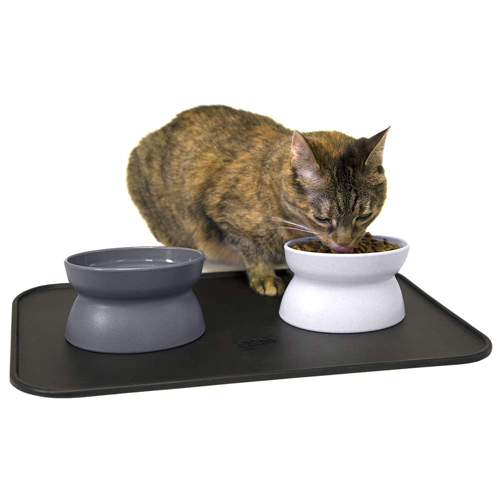 Kitty City gamelle face montrant design ovale et confort anti‑moustaches