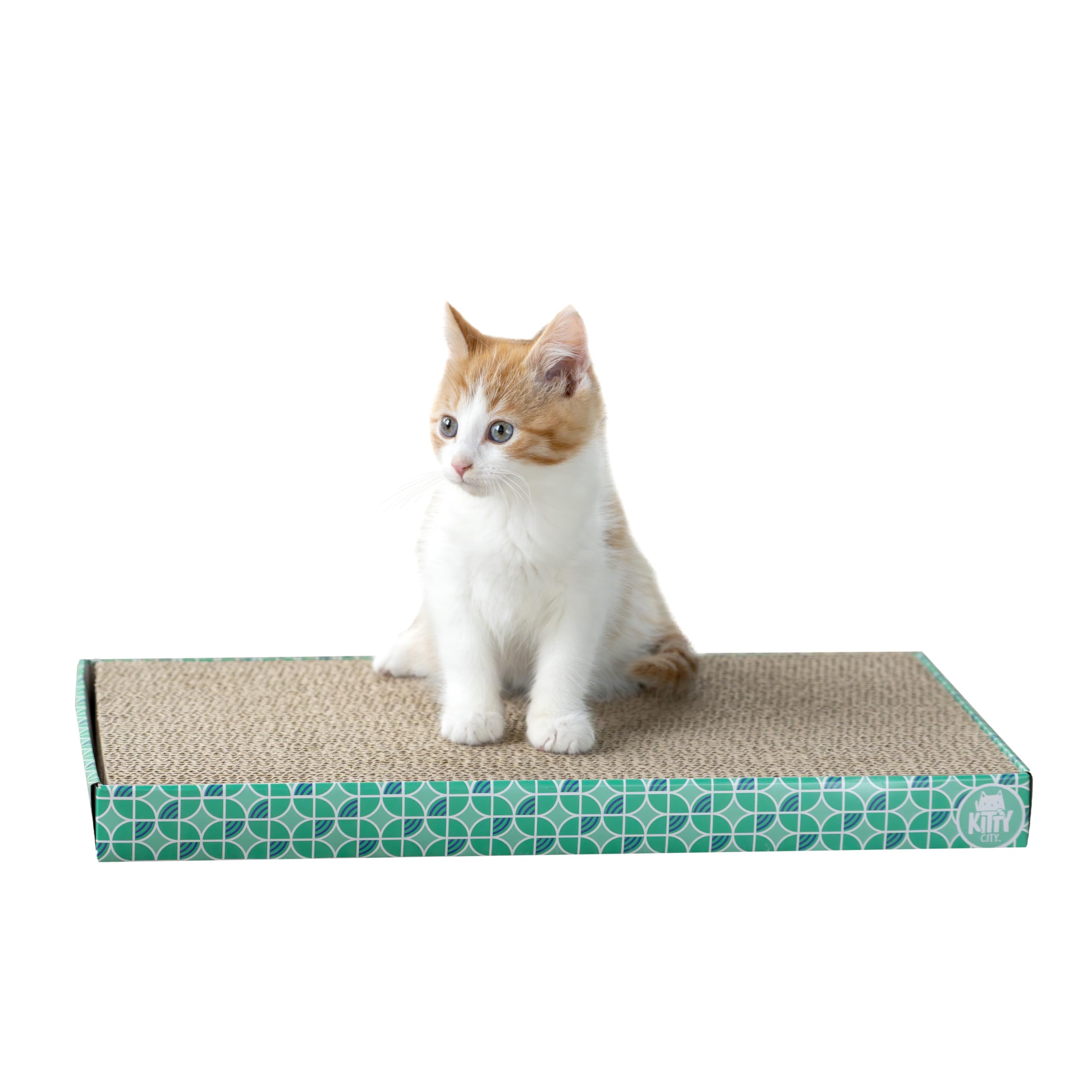 Kitty City griffoir en situation domestique favorisant jeu et détente