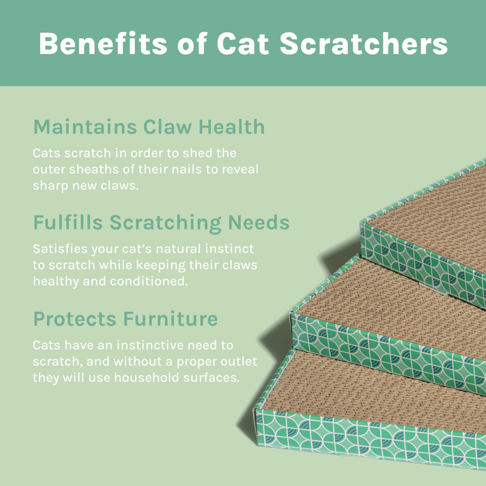 Kitty City gros plan texture du carton ondulé pour une prise efficace