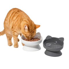 Kitty City gros plan des nervures intérieures qui ralentissent l'alimentation