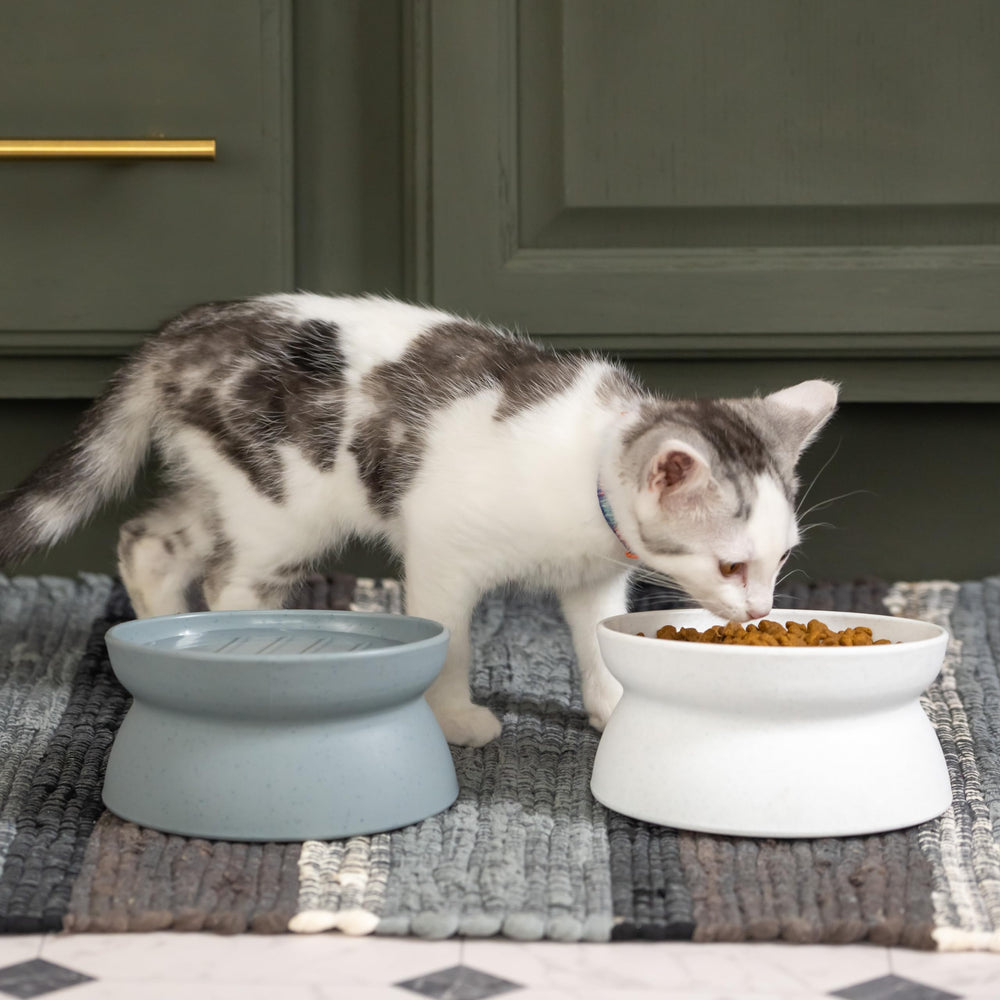 Kitty City gros plan des rainures intérieures qui ralentissent l'alimentation
