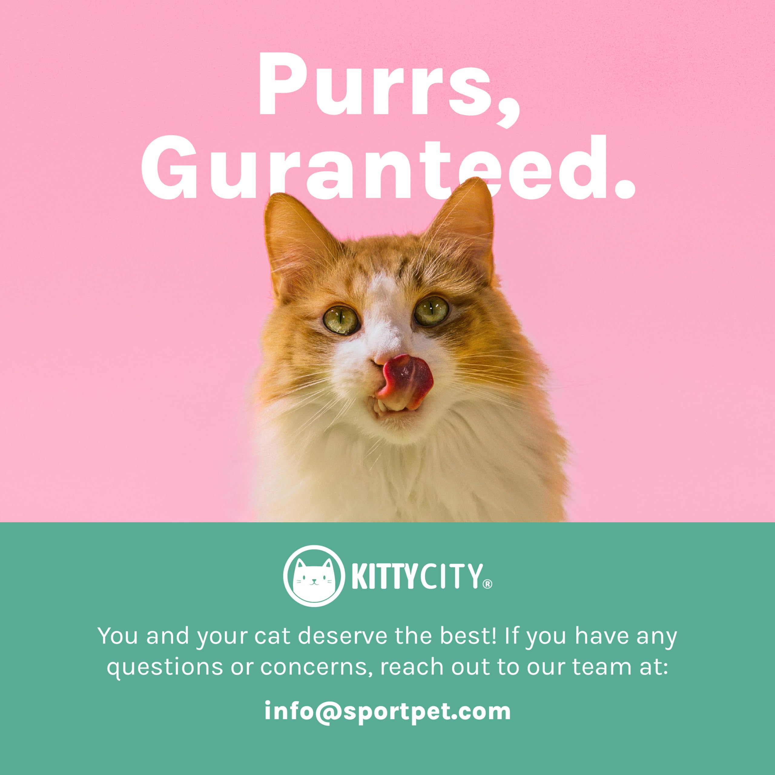 Kitty City bol surélevé posé dans une cuisine moderne ajoutant style et praticité