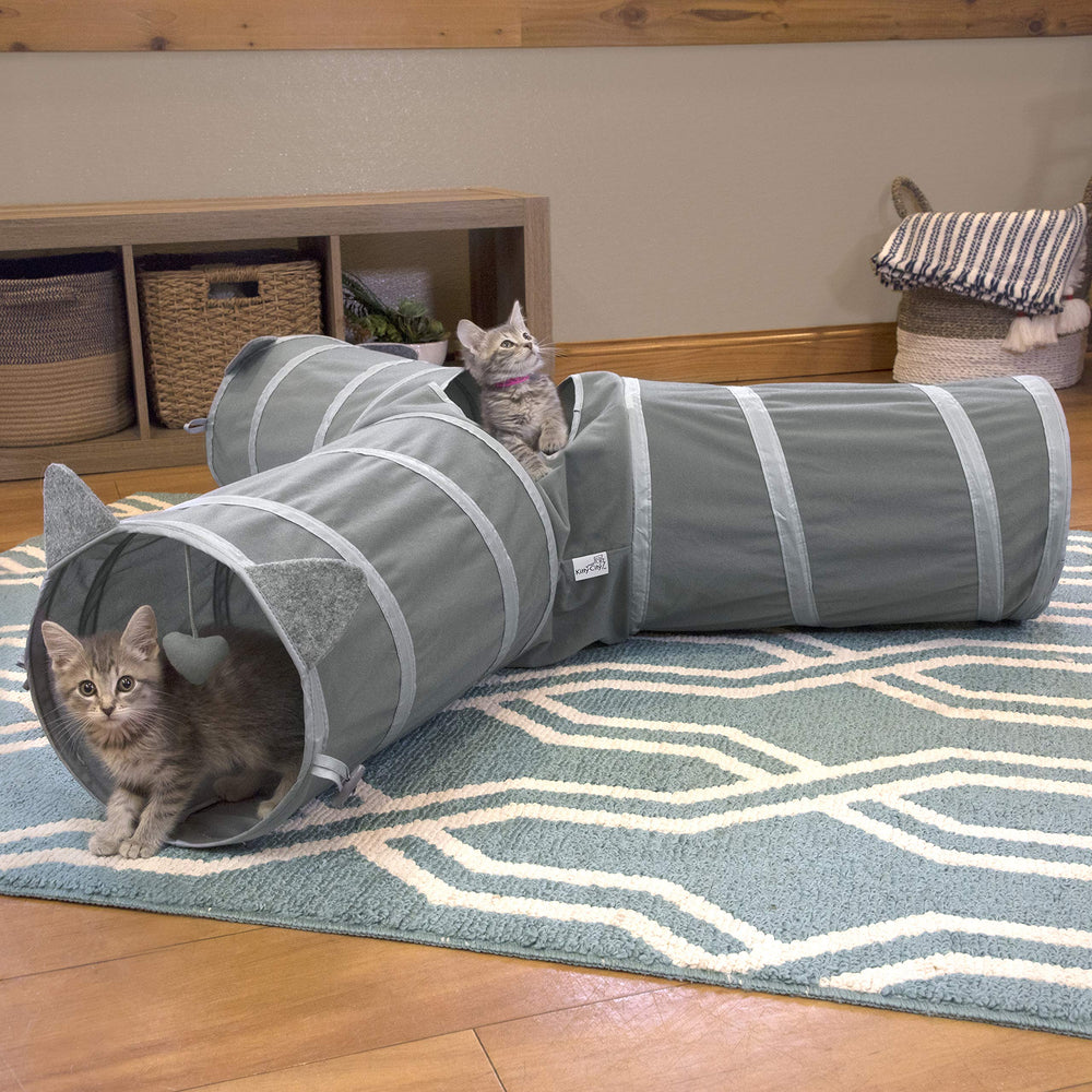Chat jouant dans le tunnel Kitty City illustrant stimulation et exercice