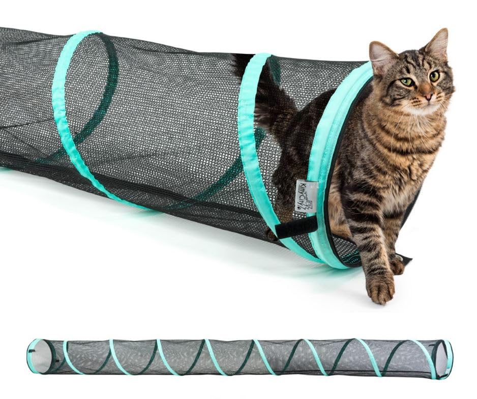 Kitty City tunnel extérieur face montrant ouverture et stabilité
