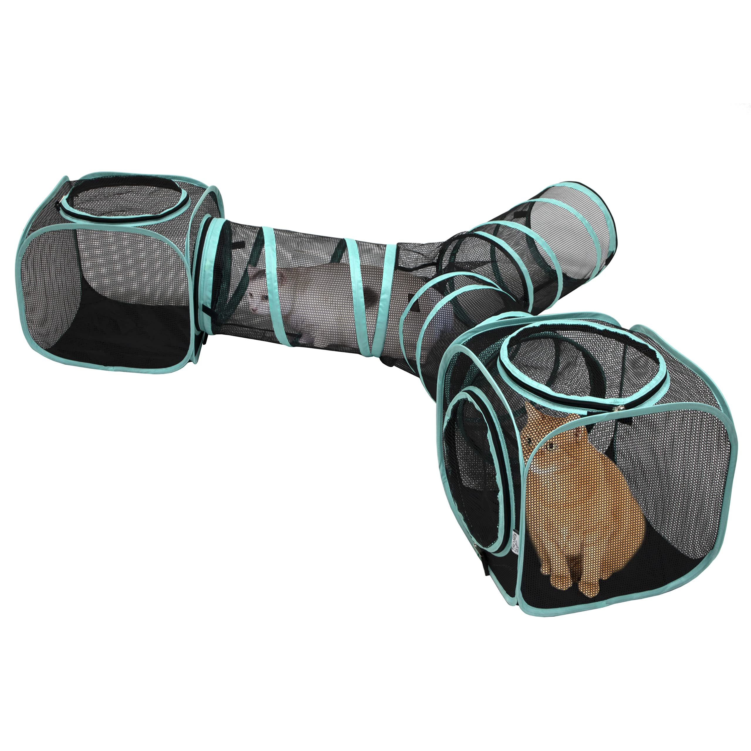 Kitty City tunnel vu de face montrant la structure ventilée pour jeu sécurisé