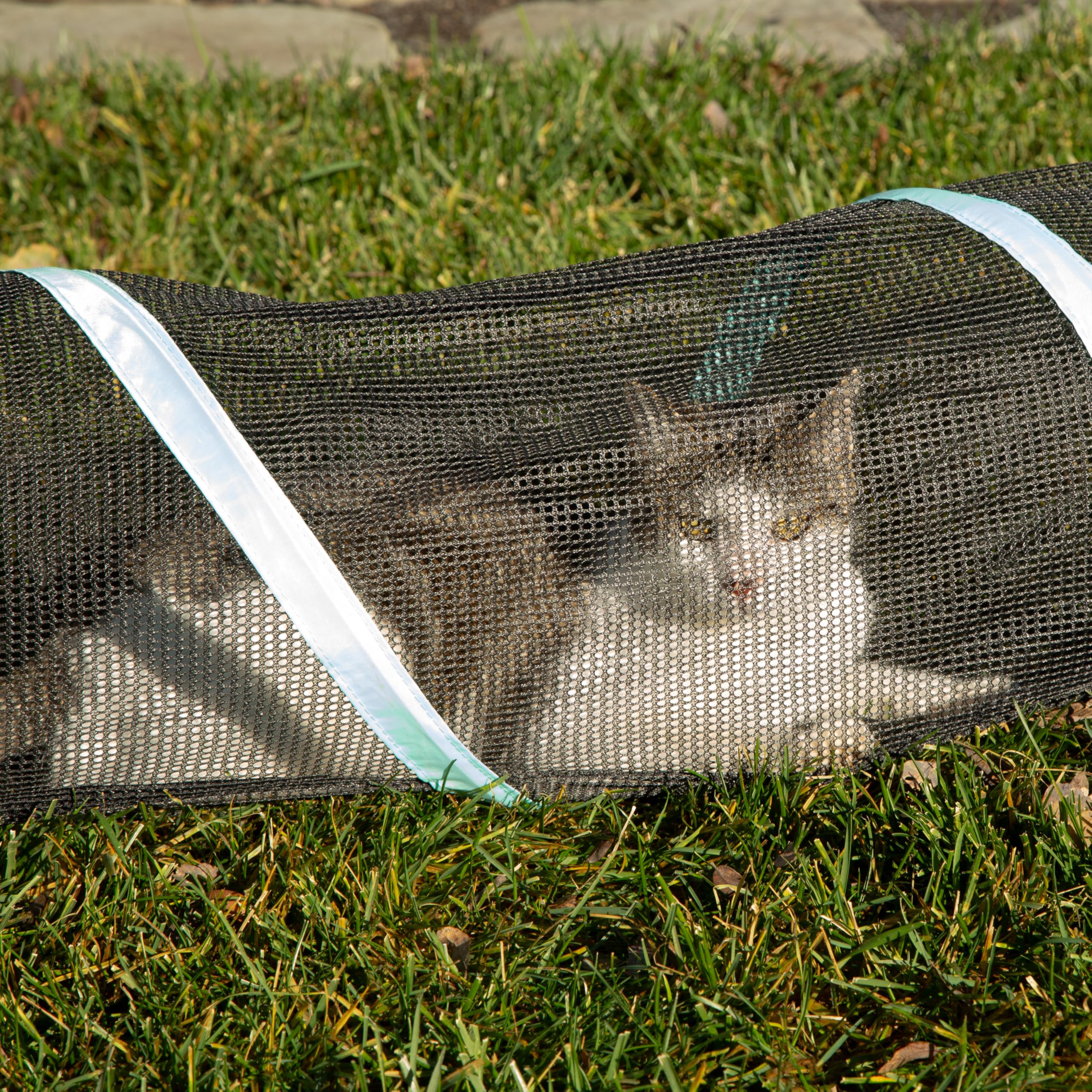 Kitty City gros plan sur fermeture éclair garantissant sécurité