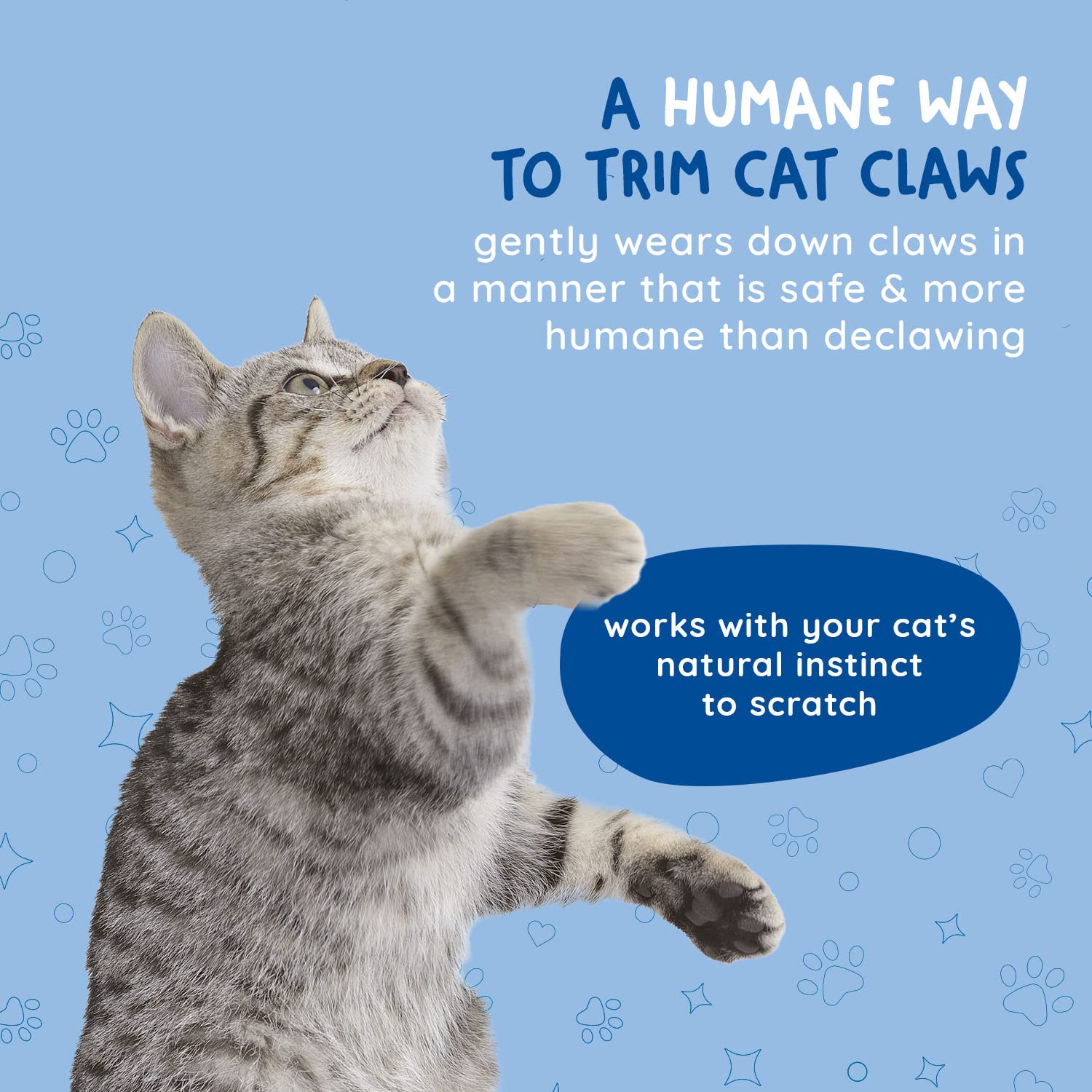 KITTY CURE chat en train de gratter, entretien sans stress des griffes
