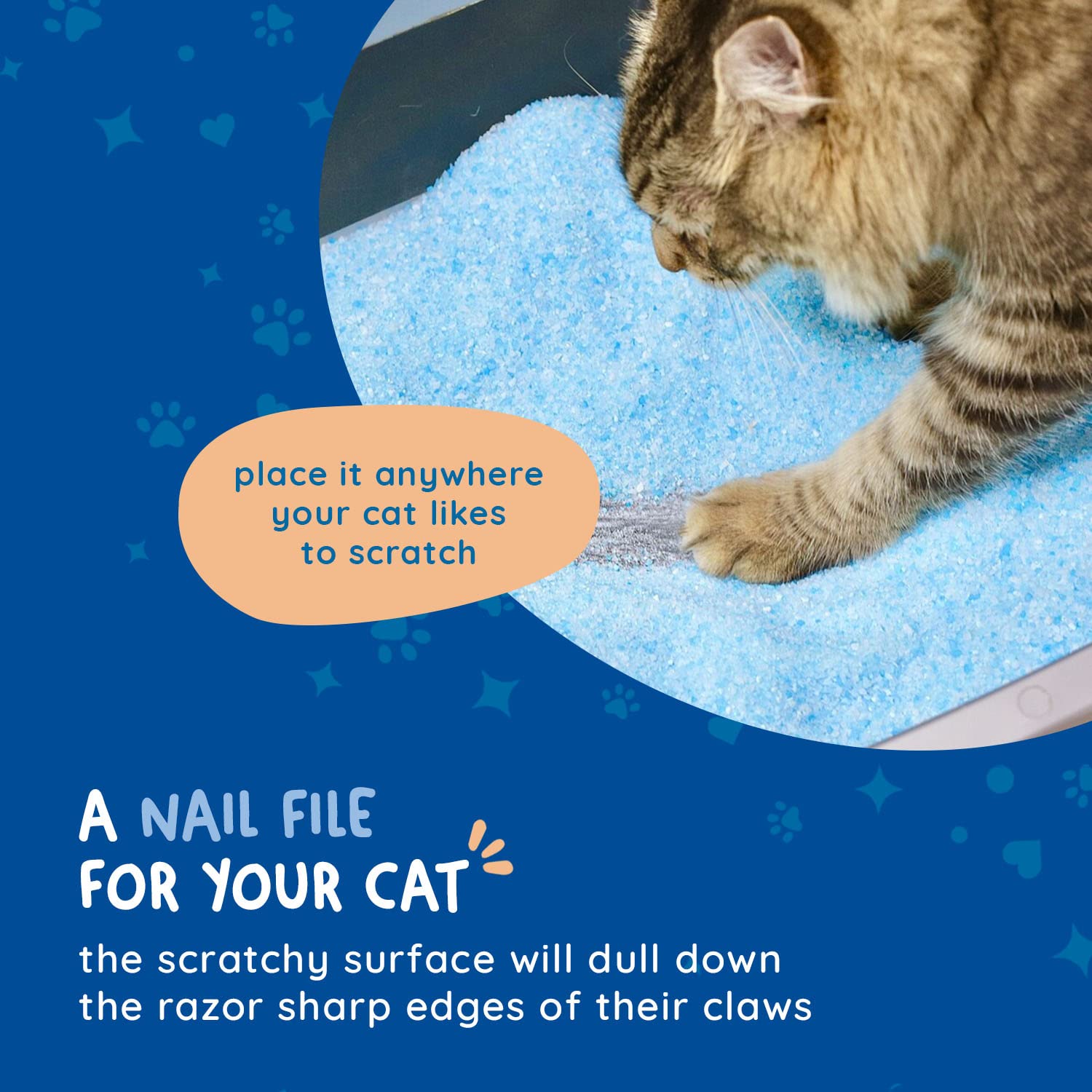 KITTY CURE installé sous litière, facilite limage naturelle des griffes