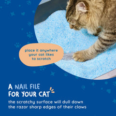 KITTY CURE installé sous litière, facilite limage naturelle des griffes