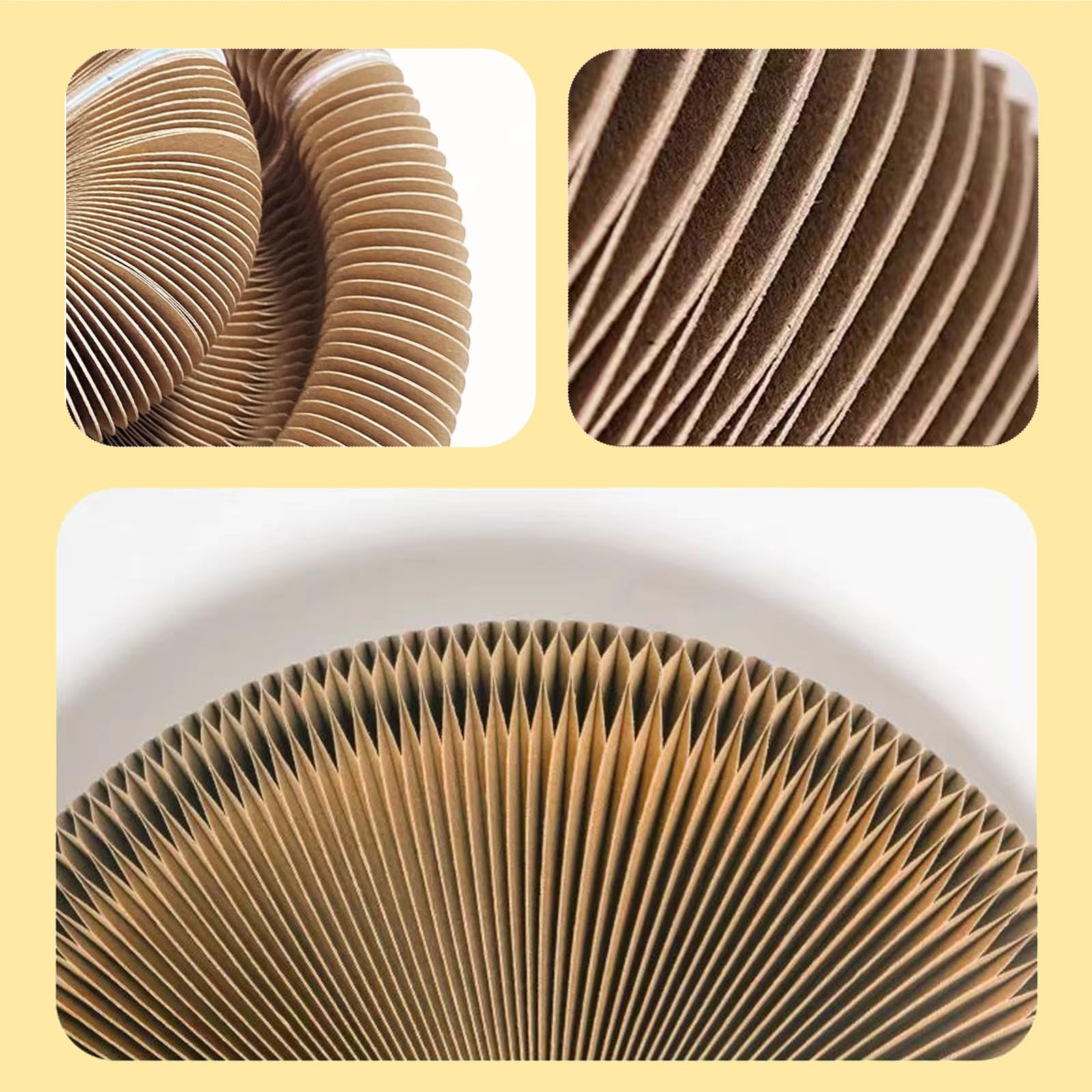 Generic Kitty Curlz comparaison d'échelle montrant taille réelle et praticité