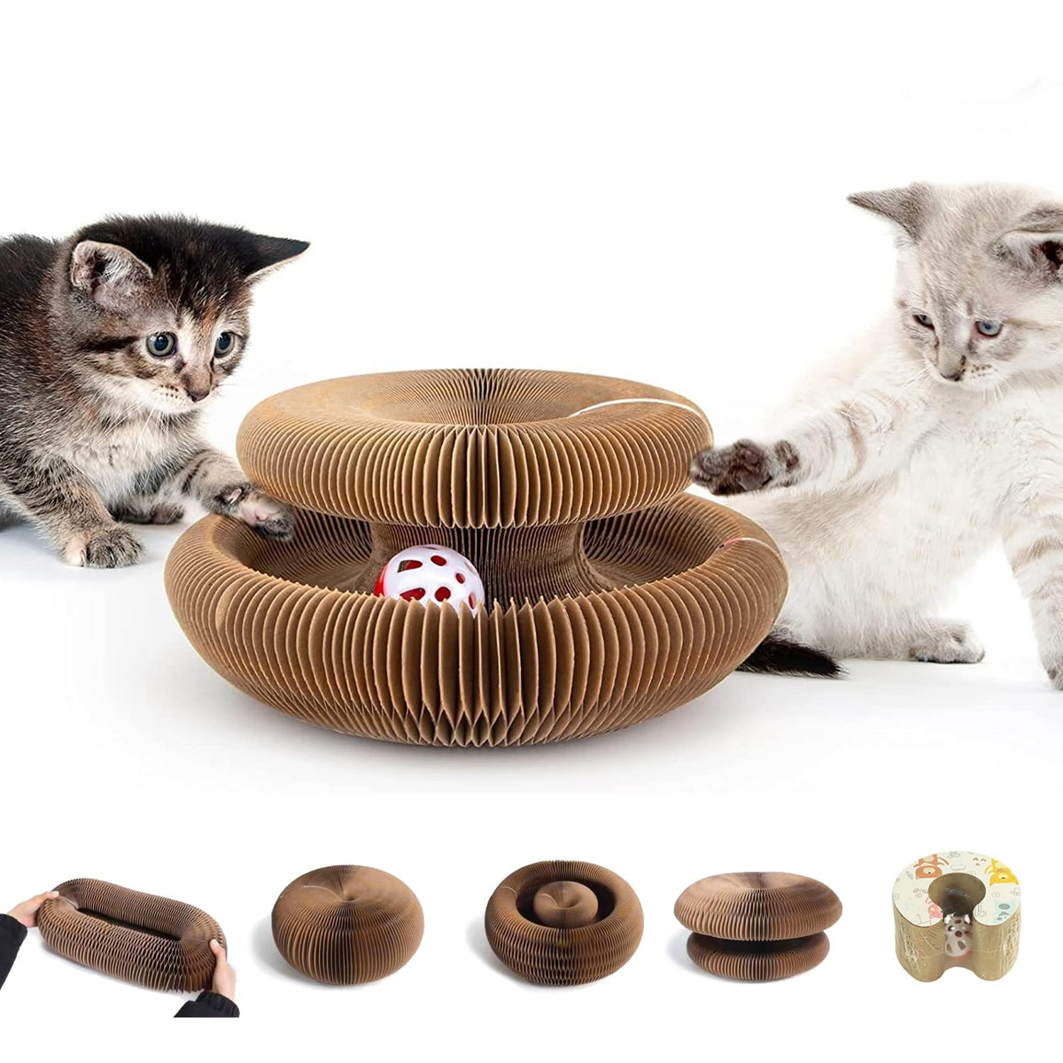 Generic Kitty Curlz face avant montrant la forme modulable et durable