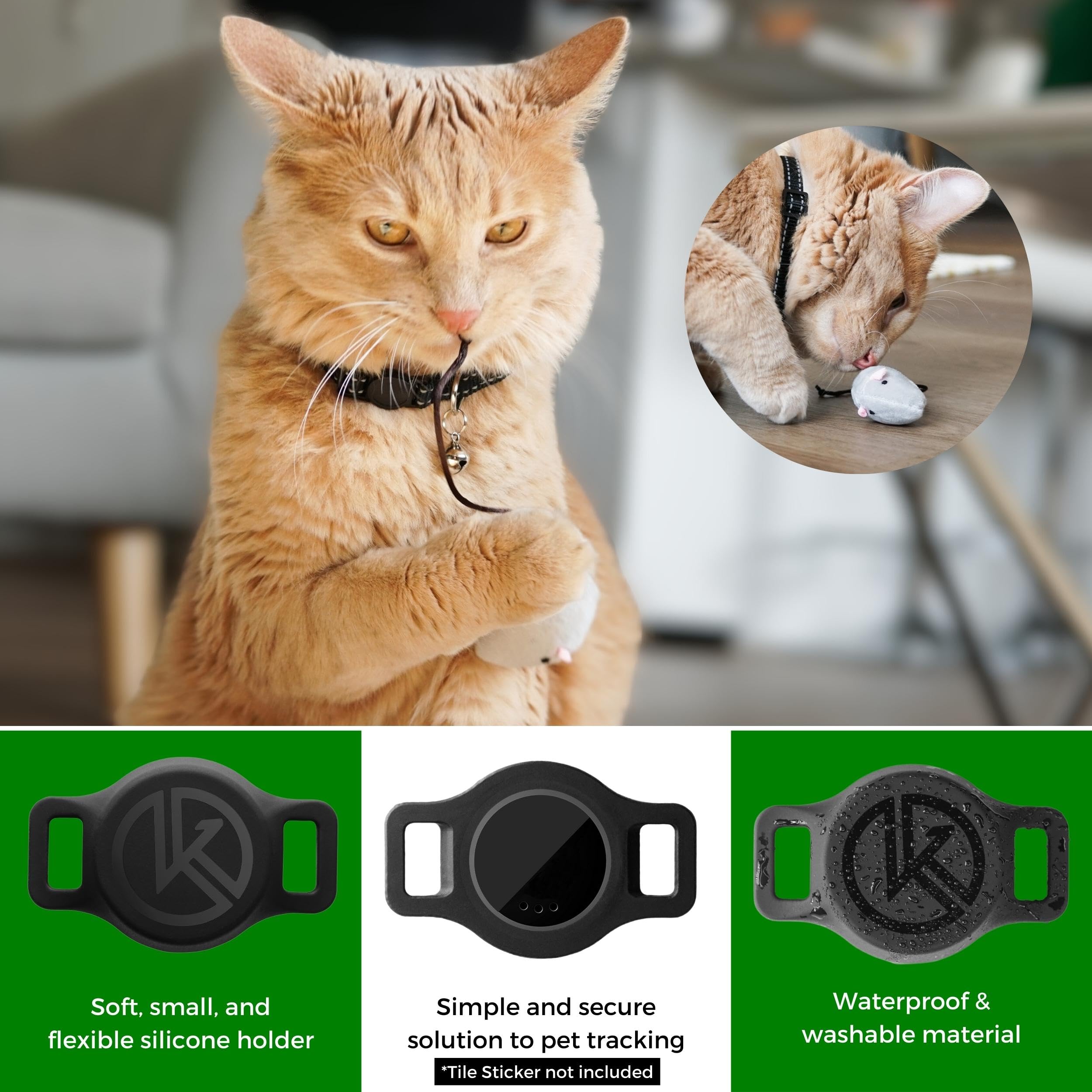 Kitty Kompass collier porté par chat assurant suivi discret