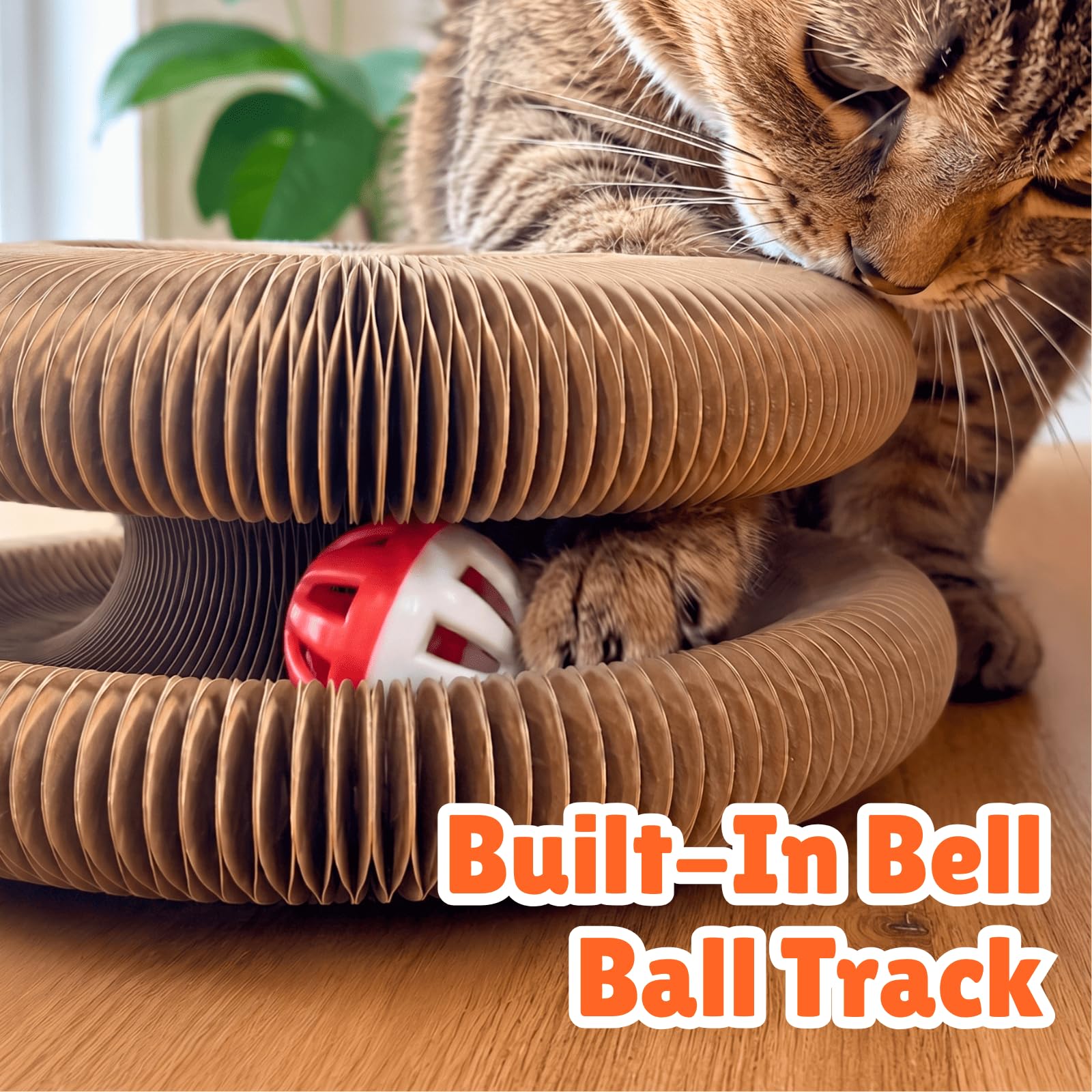 KITTY KURLZ comparaison d'échelle montrant taille adaptée aux chats