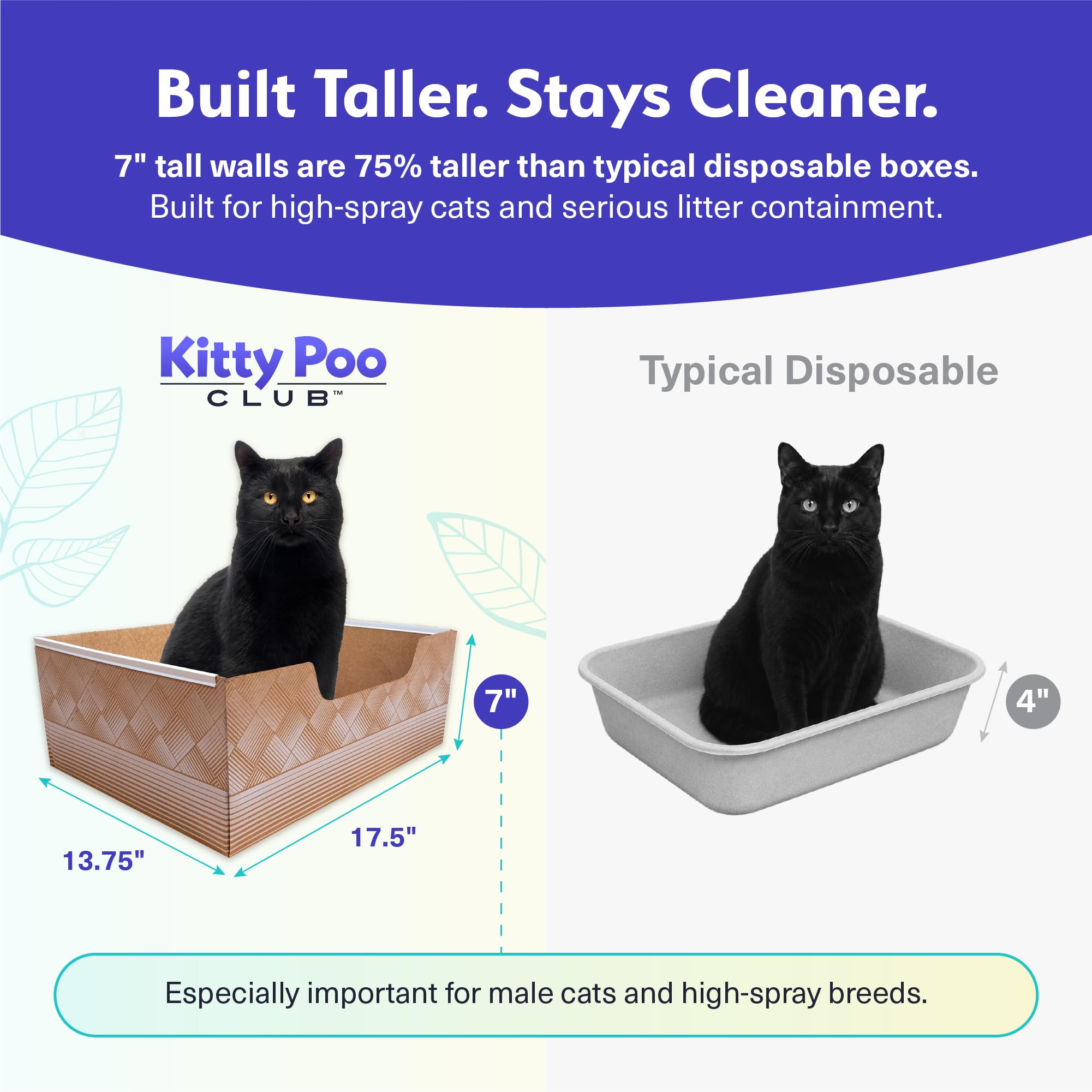 Kitty Poo Club chat utilisant le bac démontrant facilité d'emploi