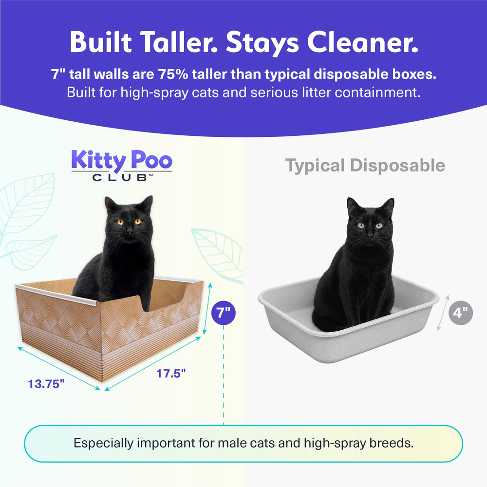 Kitty Poo Club chat utilisant le bac démontrant facilité d'emploi