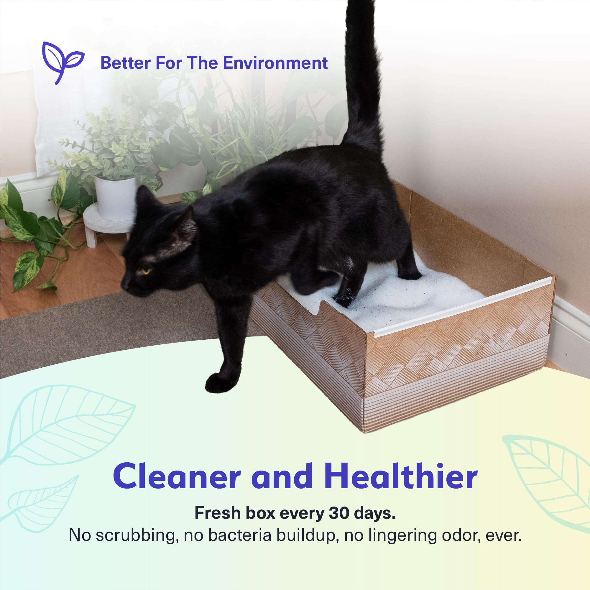 Kitty Poo Club comparaison de taille avec règle montrant dimensions pratiques