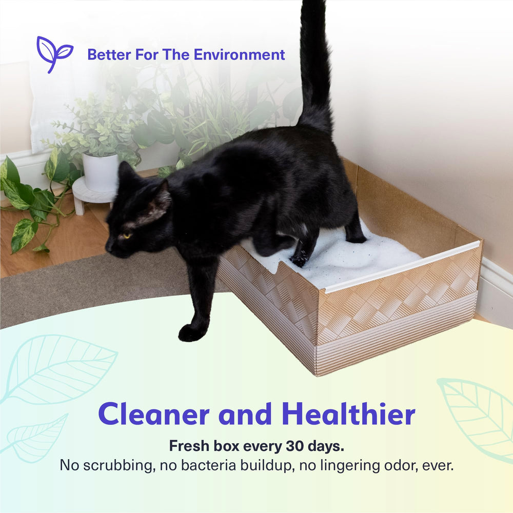 Kitty Poo Club comparaison de taille avec règle montrant dimensions pratiques