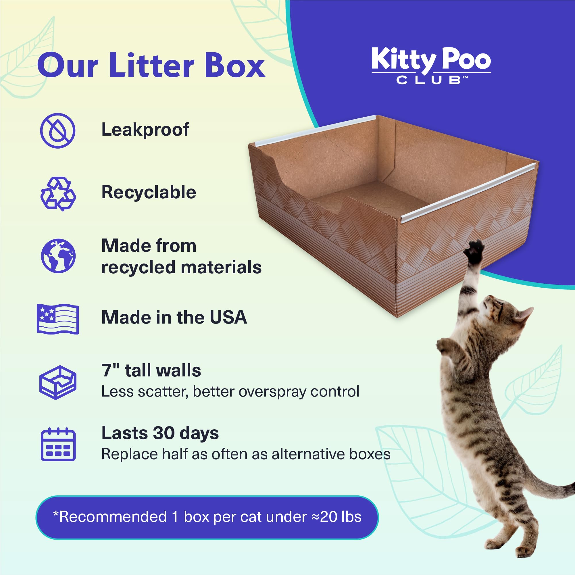Kitty Poo Club intérieur de la litière gros plan pour confort et absorption