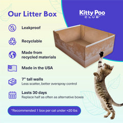 Kitty Poo Club intérieur de la litière gros plan pour confort et absorption