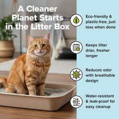 Kitty Sift gros plan paroi épaisse offrant résistance au creusage