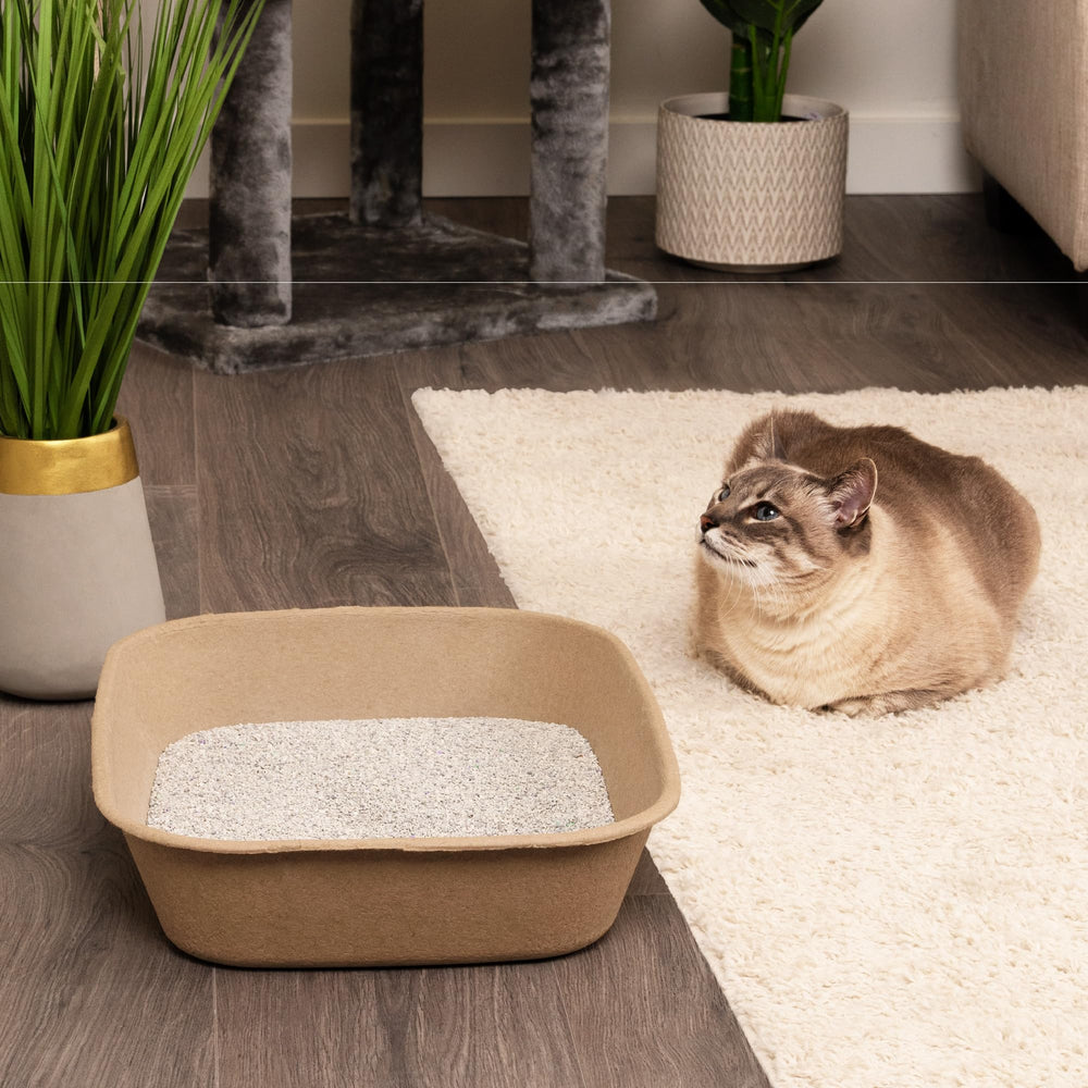 Kitty Sift comparé à une main pour visualiser taille pratique