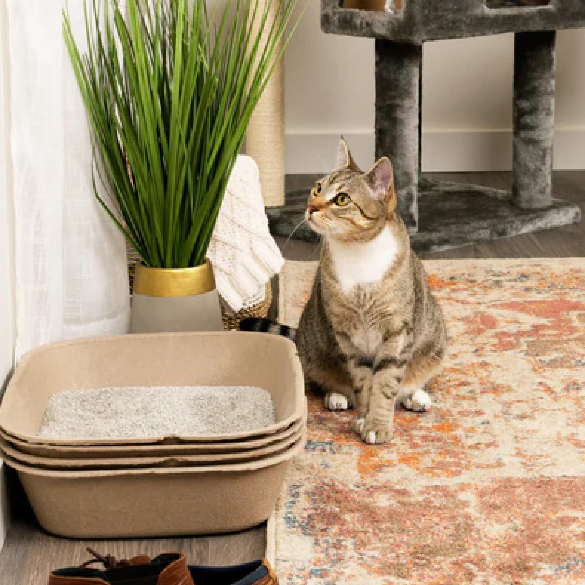 Kitty Sift posé dans une valise démontrant portabilité pour voyages