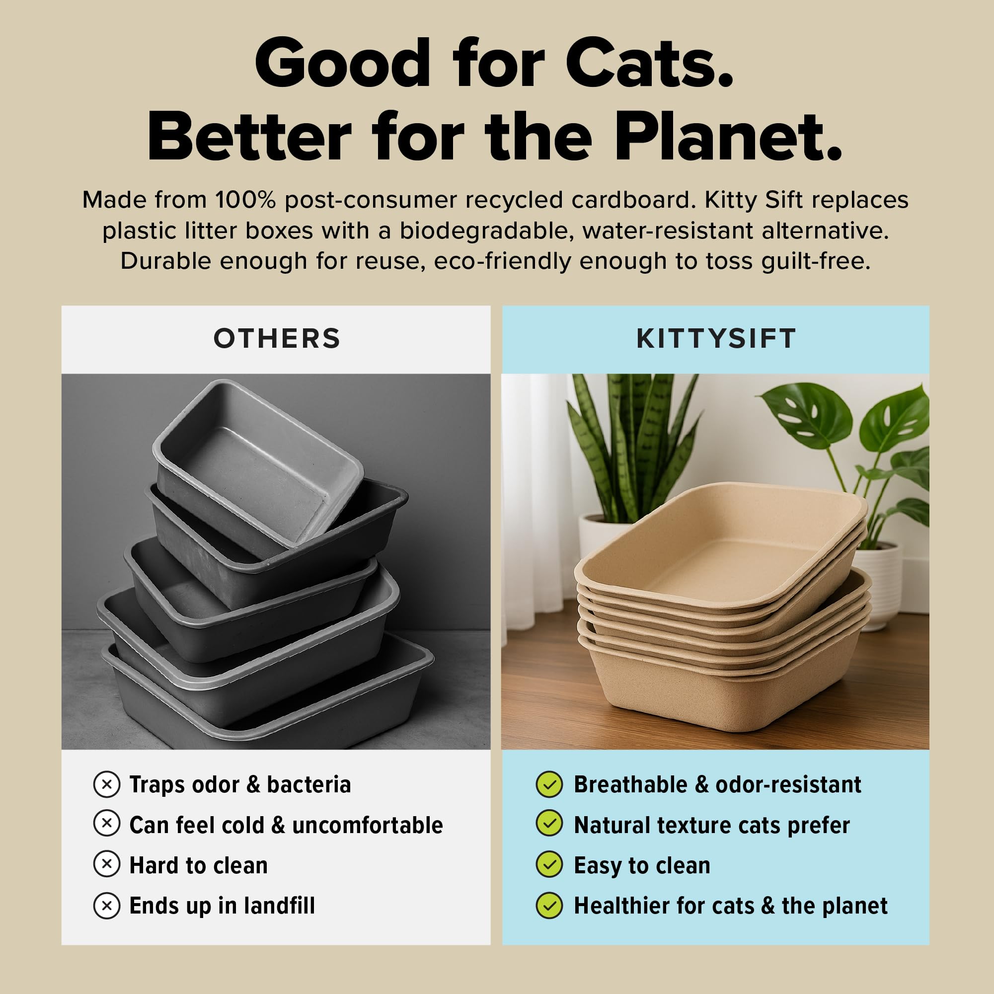 Kitty Sift intérieur du bac montrant surface plane pour litière