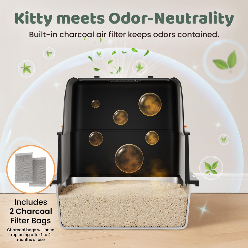 KittyLetto comparaison de taille illustrant espace adapté pour chats moyens