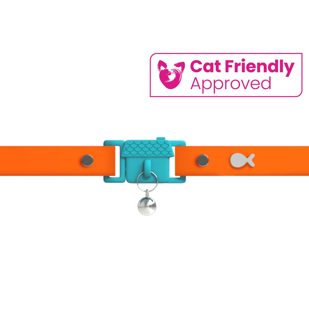 Kittyrama gros plan du silicone soyeux mettant en valeur douceur