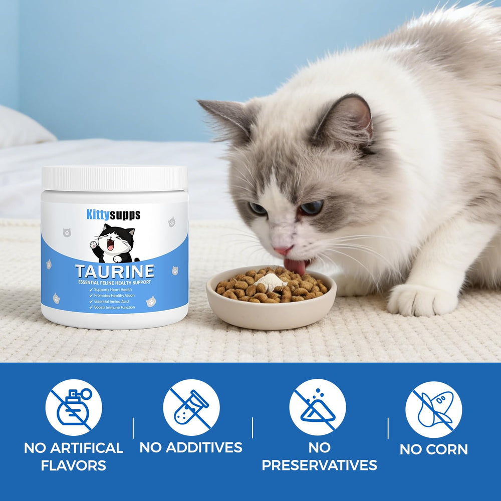 Kittysupps produit posé près d'un chat en train de manger pour usage quotidien