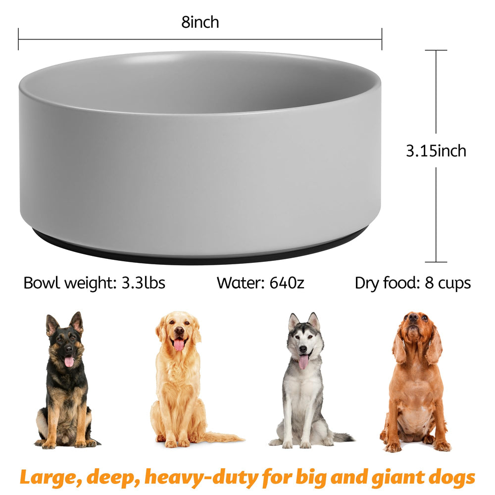 Kitwinney bol en usage avec chien pour repas sans renversement
