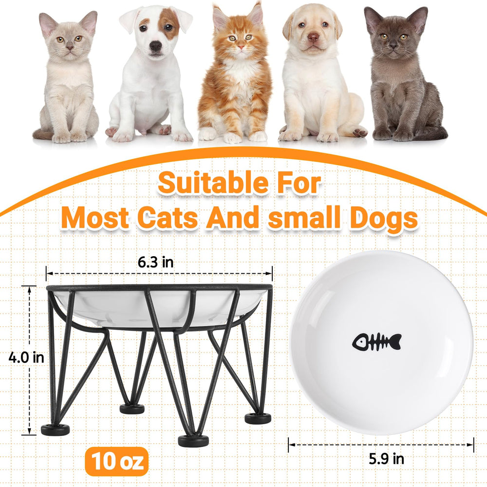 Kitwinney chat utilisant le bol surélevé pour repas plus confortable
