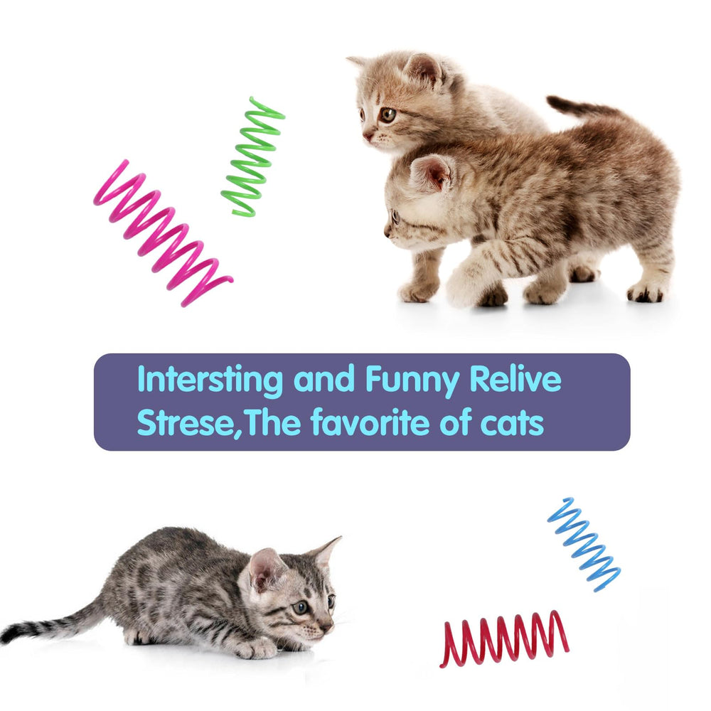 Kitys Fatch ressorts disposés en salon illustrant jeu intérieur et divertissement