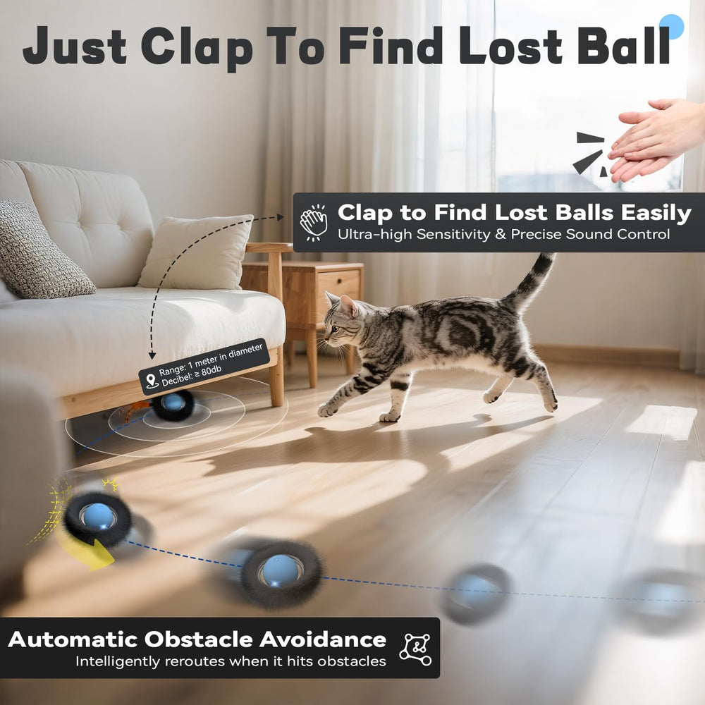 KiwiLove chat actif en train de chasser la balle démontrant divertissement autonome