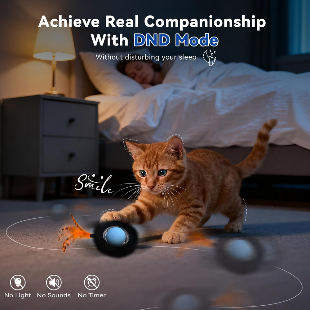 KiwiLove comparaison taille avec main montrant proportion et adaptation intérieure