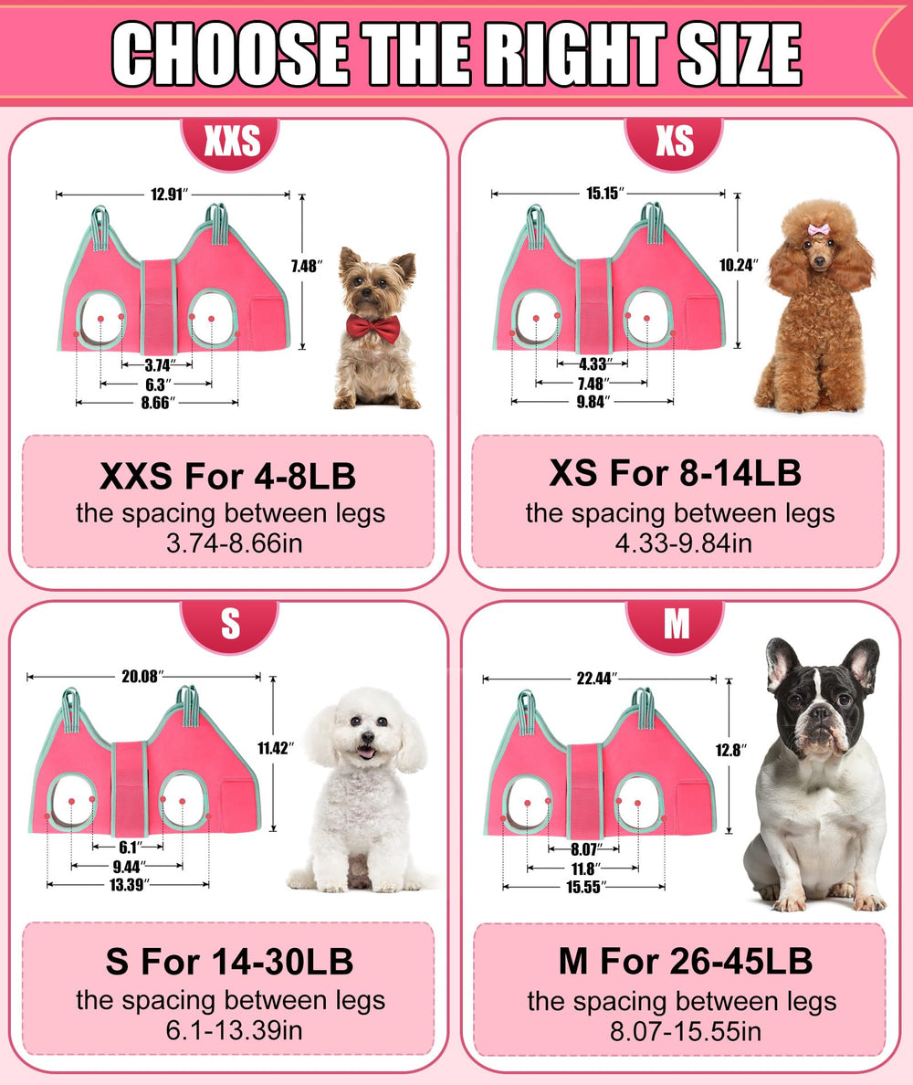 Kkiimatt comparaison taille montrant ajustement pour chien moyen