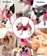 Kkiimatt hamac en usage avec chien calme facilitant coupe d'ongles