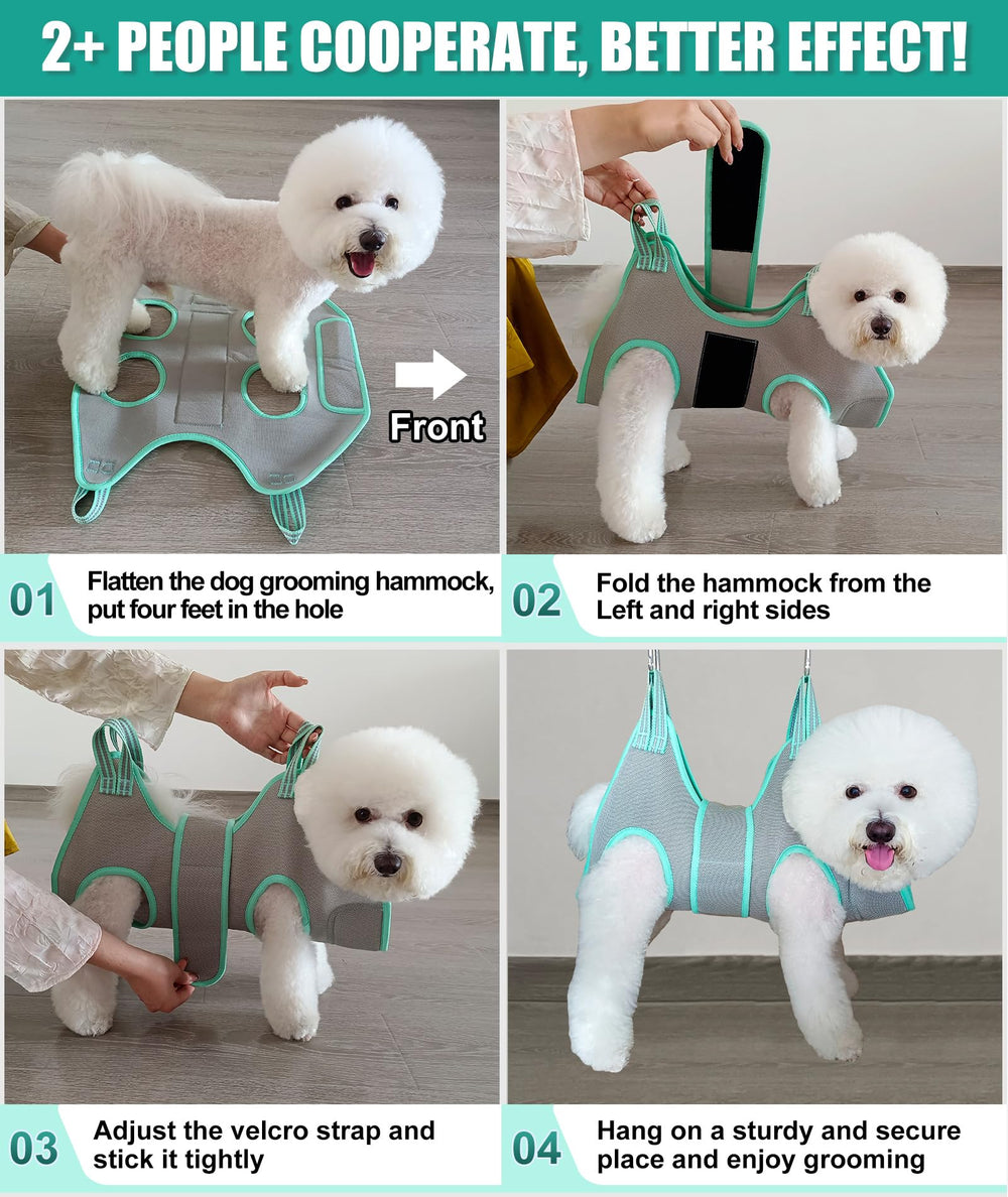 Kkiimatt comparaison d'échelle montrant la taille S adaptée aux petits chiens