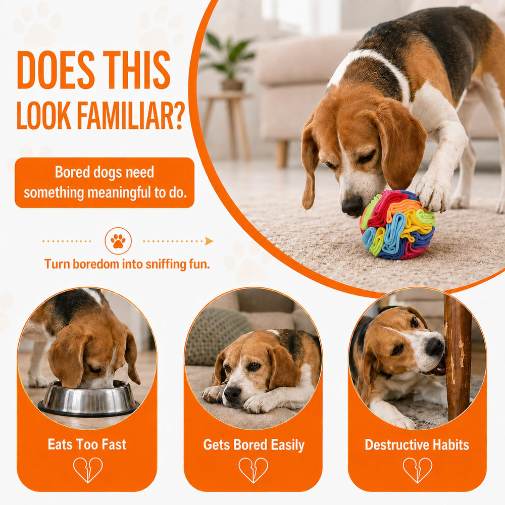 kmirepa Snuffle Ball en usage avec chiot qui fouille, activité mentale stimulante