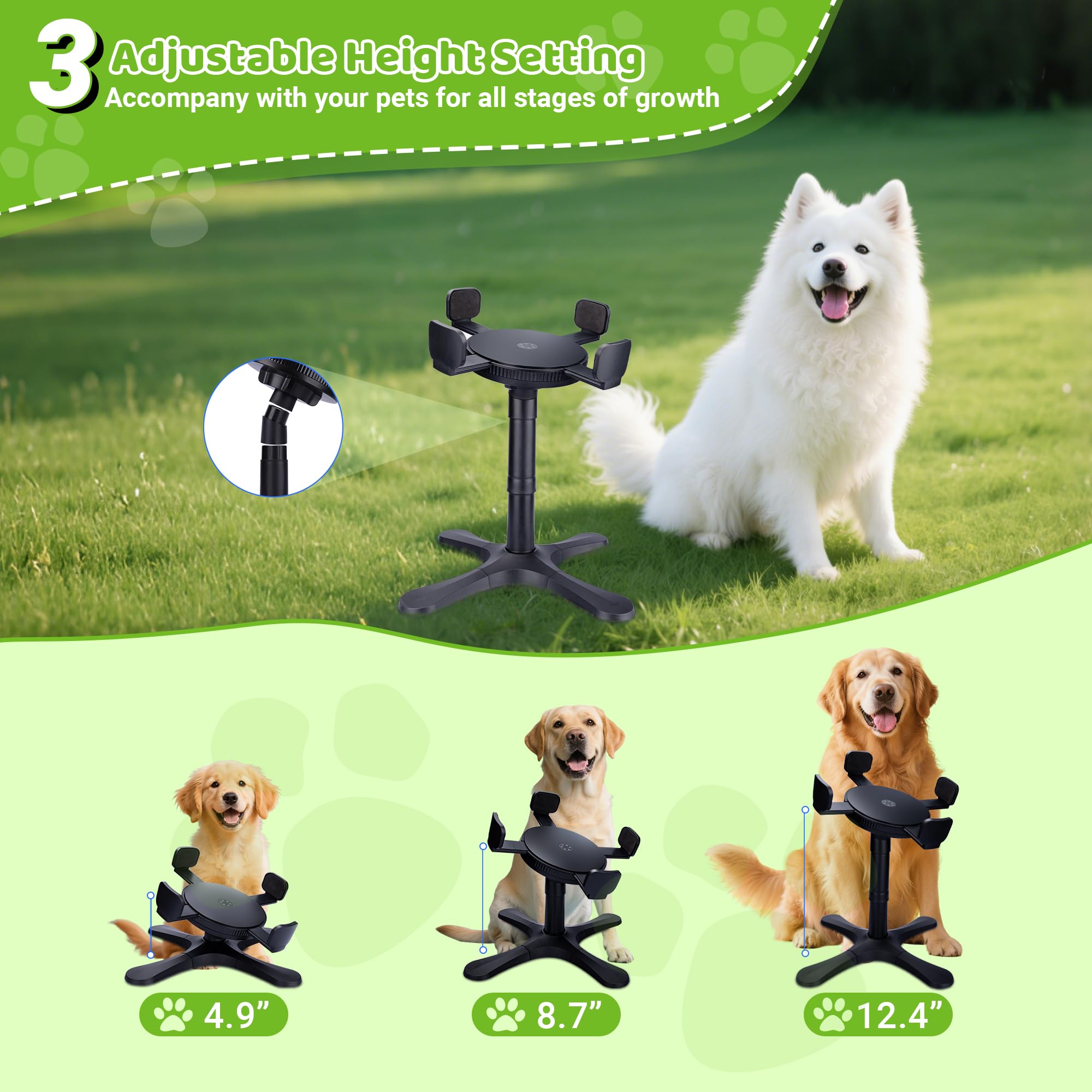 KMXASP démonstration des trois hauteurs disponibles pour chiots et adultes