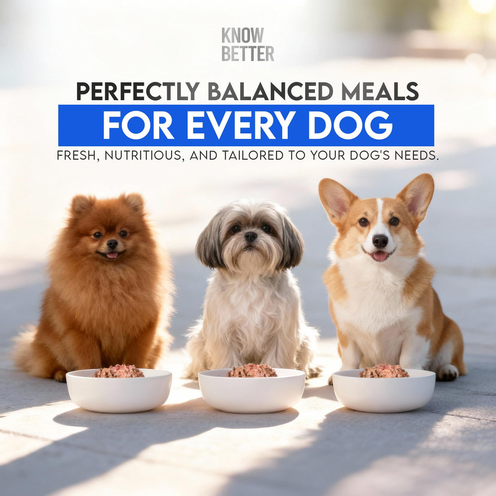Know Better scène de cuisine en famille préparant nourriture naturelle pour chien