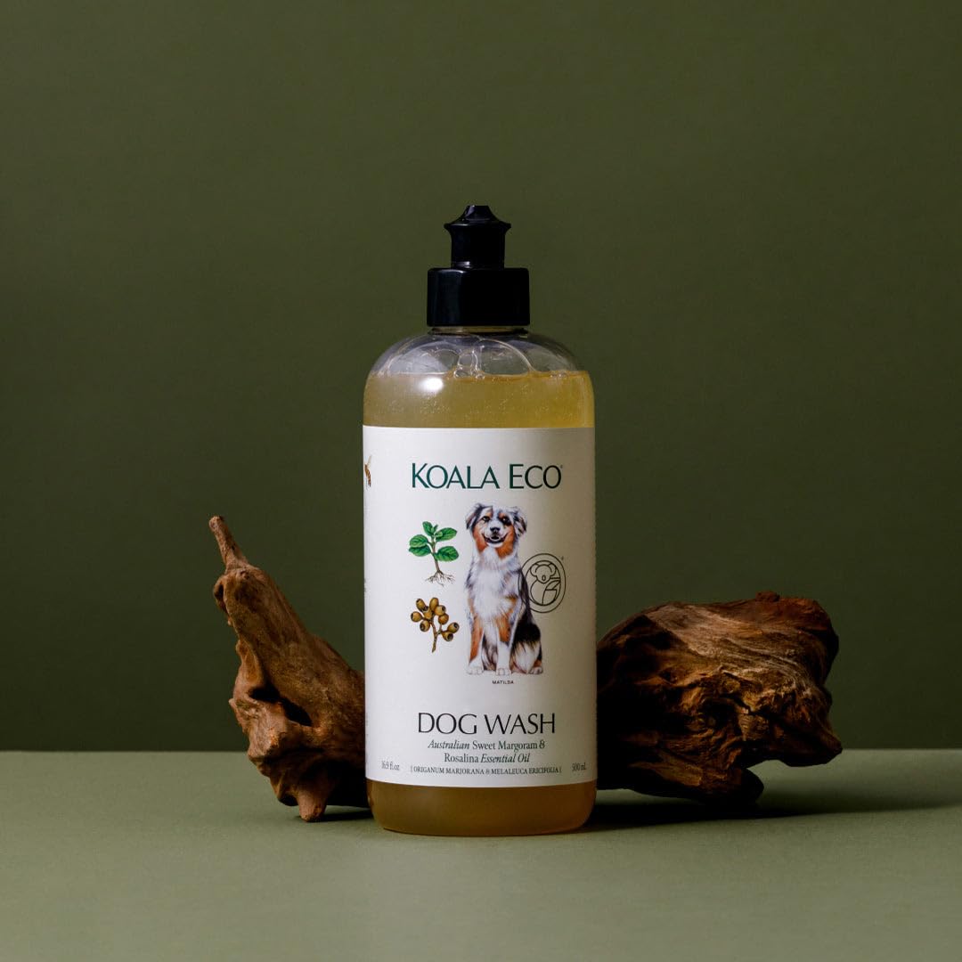 Koala Eco chien au bain illustrant utilisation facile et pelage frais après rinçage