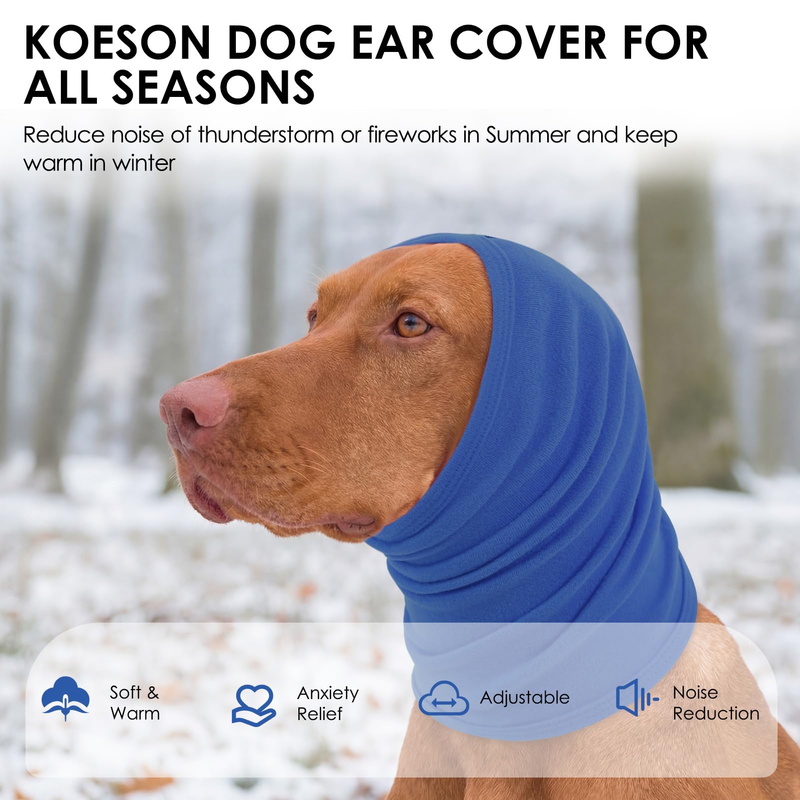 KOESON bandeau utilisé en clinique vétérinaire protégeant la zone auriculaire