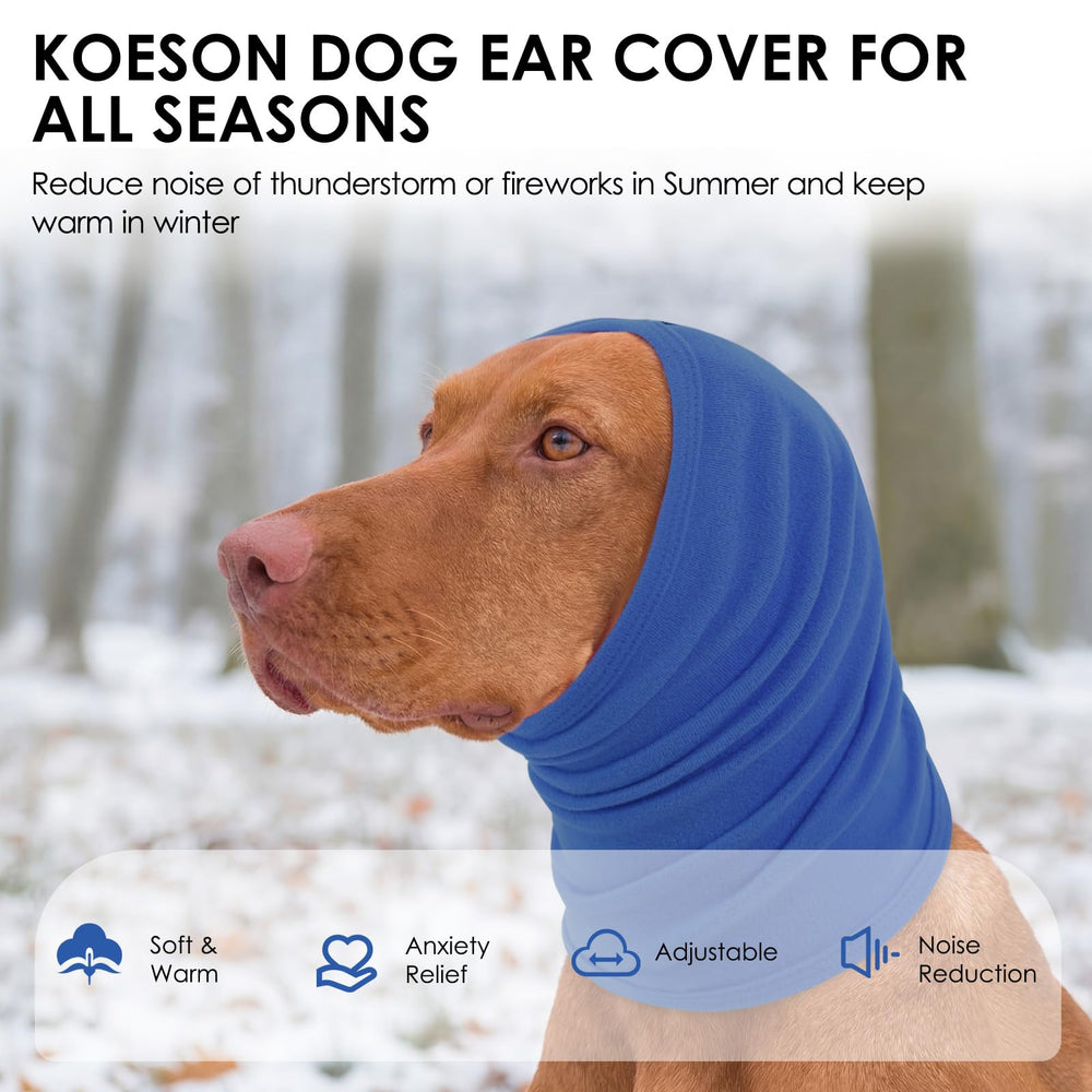 KOESON bandeau utilisé en clinique vétérinaire protégeant la zone auriculaire