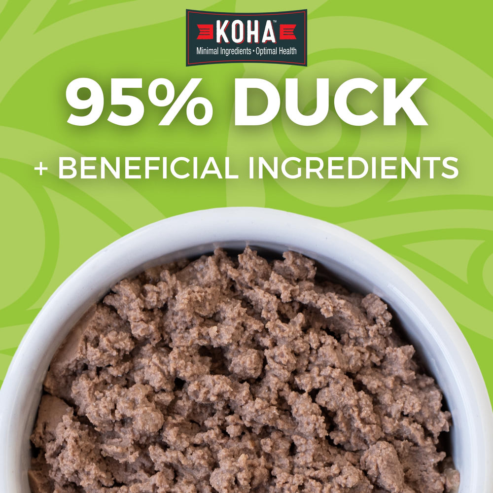 KOHA pâté canard gros plan sur texture, digestibilité améliorée