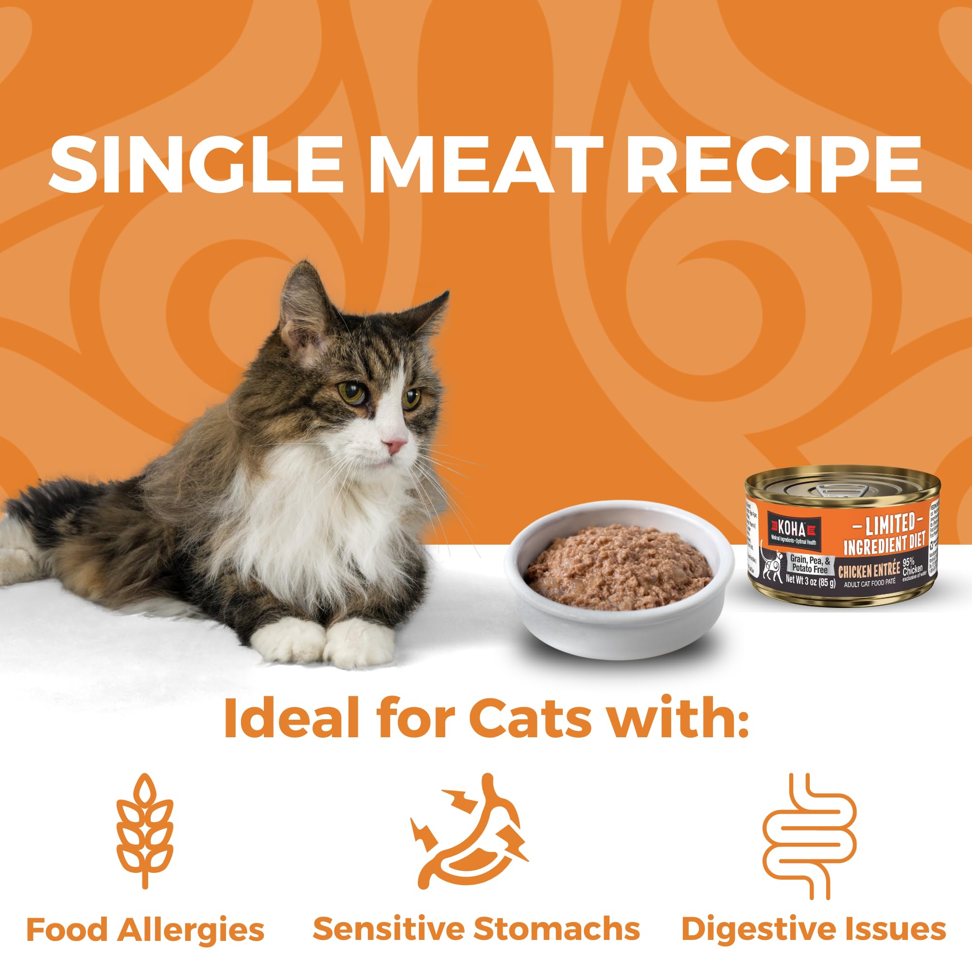 KOHA pâté poulet servis dans une assiette, chat qui mange avec appétence et meilleure hydratation